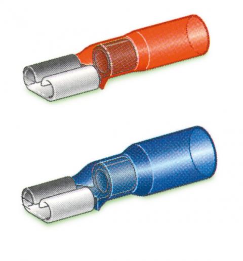 ΚΩΣ ΜΟΝΩΜΕΝΑ ΘΗΛΥΚΑ