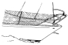 1181_2.jpg