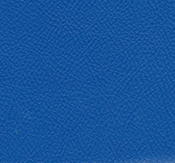 7286_0.jpg